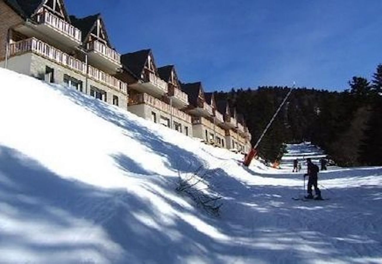 Apartamento en Laveissière - CHALET DUPLEX 3 CH PIED DE PISTE , CENTRE STATION, PARKING , WIFI 